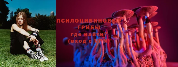прущая мука Карпинск