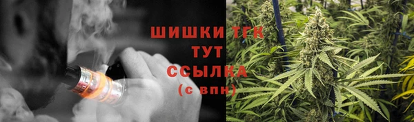 винт Касимов
