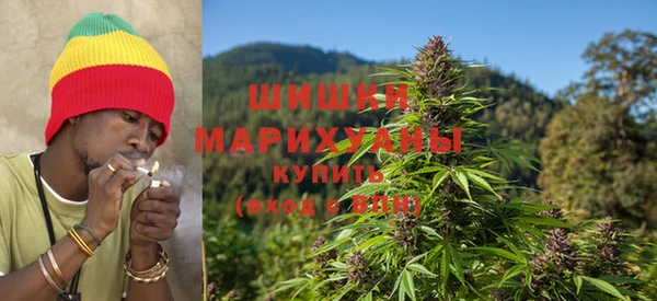 винт Касимов