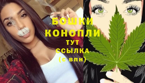 винт Касимов